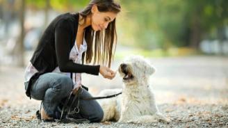 Chiara educatore cinofilo,dog e cat sitter - Foto 6