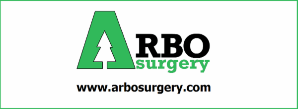 Arbosurgery - Mattia Farina