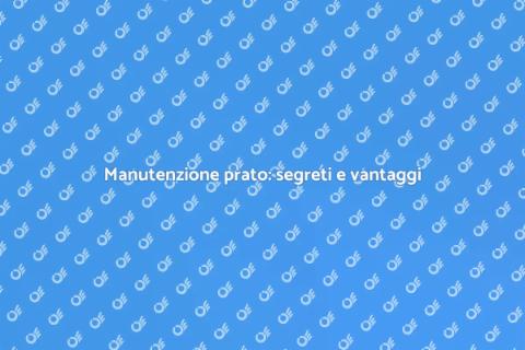 Cura del prato: migliora il tuo giardino
