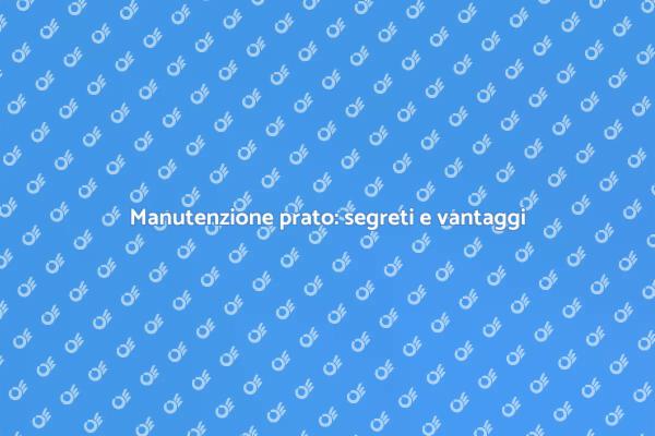 Prato curato: un investimento utile