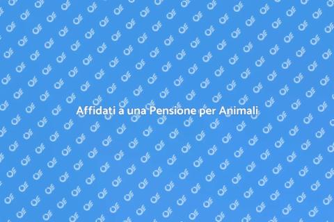 Pensione per Animali: Serenità Garantita