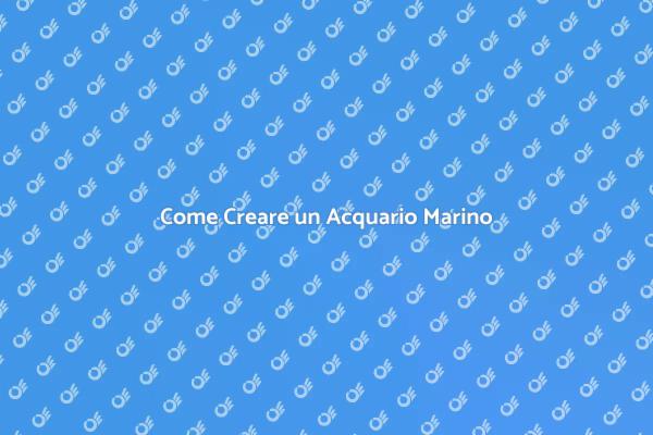 Allestire un Acquario Marino in Casa