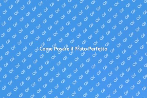 Posare il Prato: Guida Completa