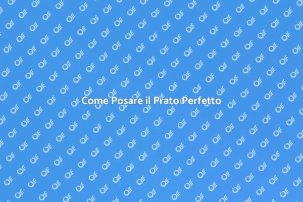 Trasforma il Tuo Giardino con un Prato