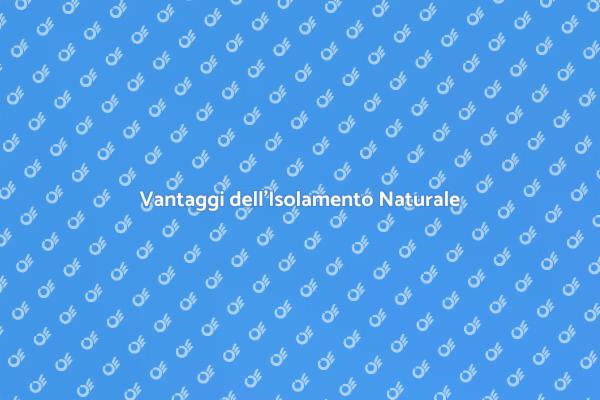 Isolamento Efficiente per Finestre in Legno