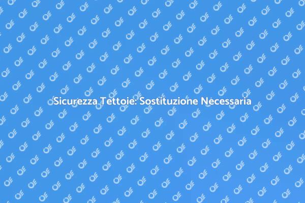 Rinnova i Sistemi Anticaduta delle Tettoie