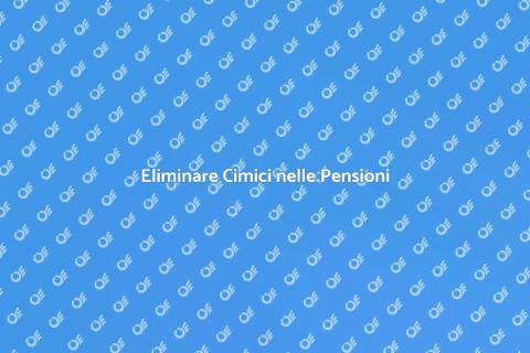 Disinfestazione Cimici in Pensioni