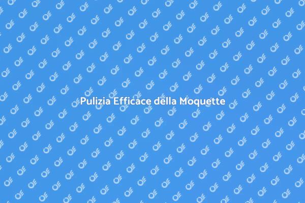 Importanza del Lavaggio della Moquette