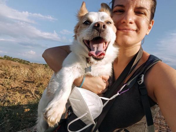 Educazione cinofila & pet sitting - roma - Foto 2