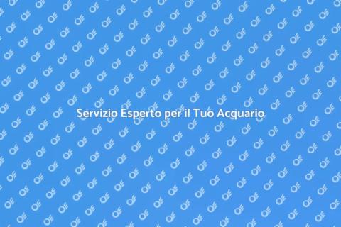 Consulenza Professionale per Acquari
