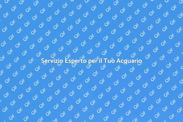 Guida alla Consulenza per Acquari
