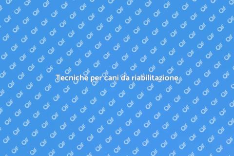 Educare cani da riabilitazione