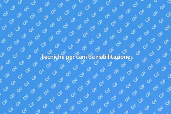 Cani da riabilitazione: come educarli
