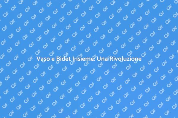 Vaso Bidet Termoidraulico: Innovazione per il Bagno