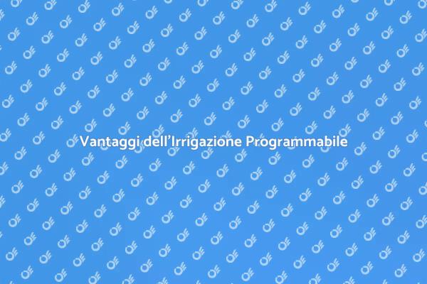 Irrigazione Programmabile: Efficienza e Vantaggi