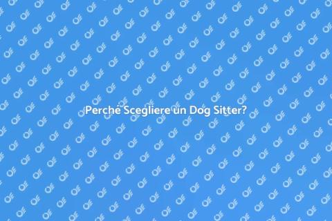 Assumere un Dog Sitter Affidabile