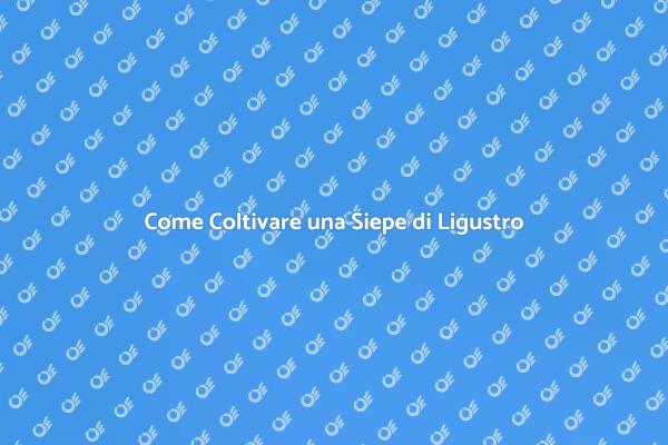 Coltivazione della Siepe di Ligustro