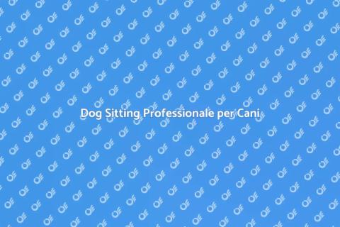 Dog Sitting Ad Hoc per il Tuo Cane