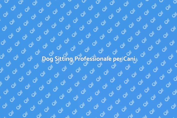 Servizio di Dog Sitting Affidabile