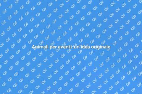 Affitto di animali per eventi