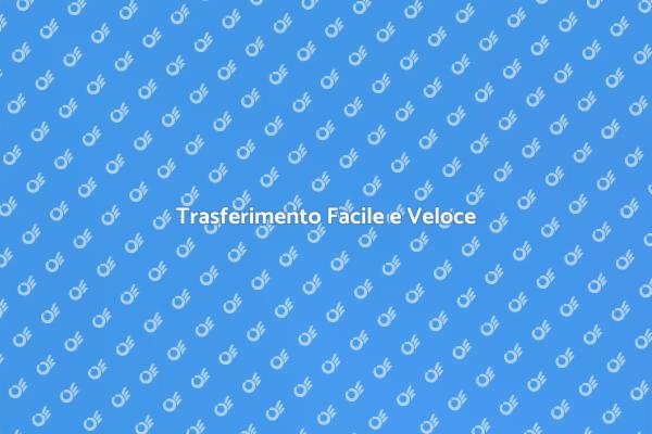 Trasferimenti Brevi: Soluzioni Efficaci
