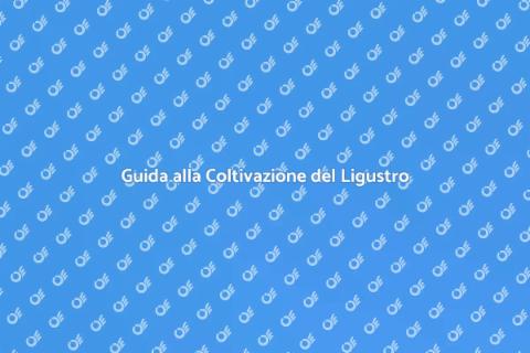 Coltivare una Siepe di Ligustro