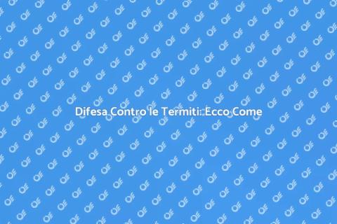 Trattamento Termiti: Proteggi la Tua Casa