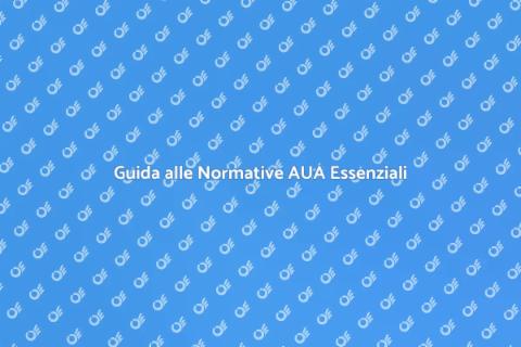 Normative per l'AUA: Guida Completa