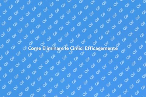 Trattamento Antiparassitario per Cimici