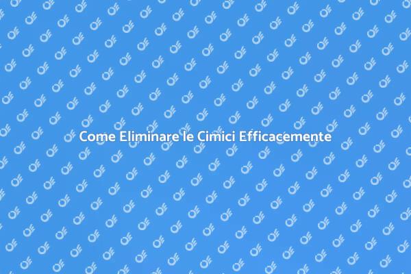 Liberati dalle Cimici con Professionisti