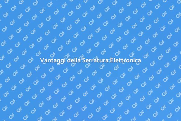 Perché Scegliere una Serratura Elettronica