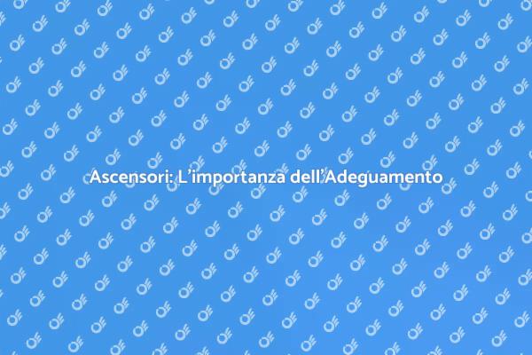 Ascensori e Adeguamento Elettrico