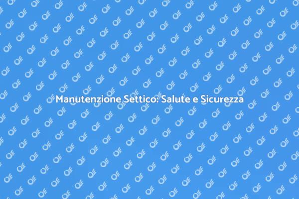 Servizio Settico: Fondamentale per la Casa