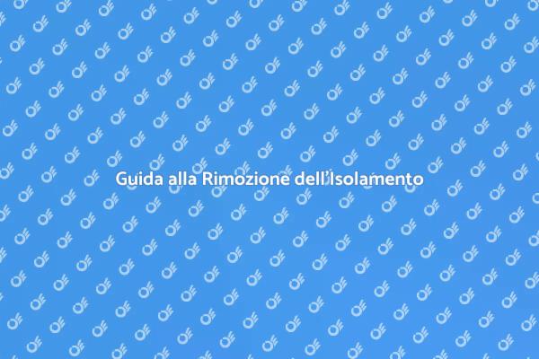 Isolamento Pareti: Come Rimuoverlo
