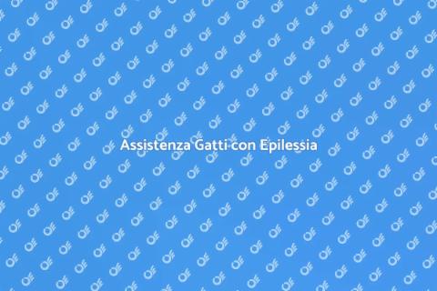 Cat Sitter per Gatti Epilettici
