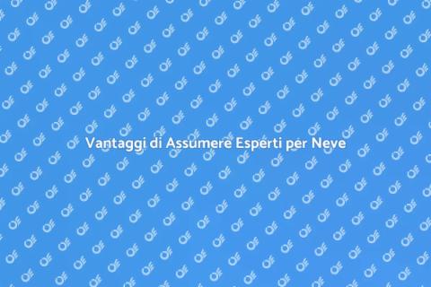 Assumere un Professionista per Neve