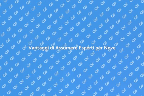 Professionisti per Rimozione Neve e Ghiaccio