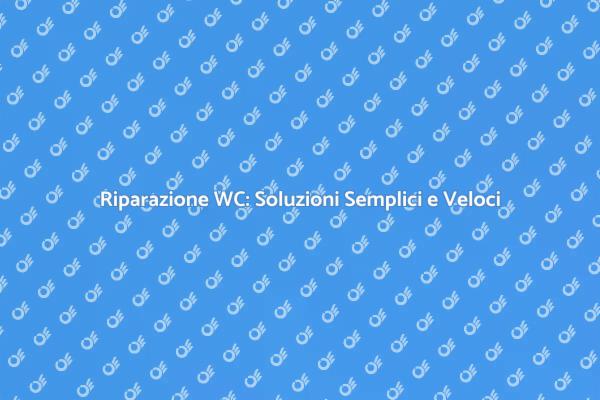 Risolvi i Problemi del Tuo WC Facile e Veloce