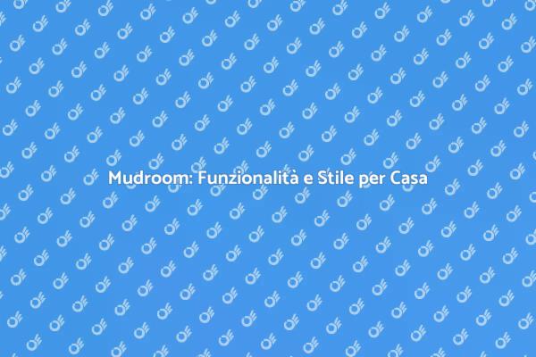 Mudroom: La Soluzione per il Tuo Ingresso