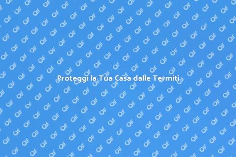 Monitoraggio Termiti per la Tua Casa