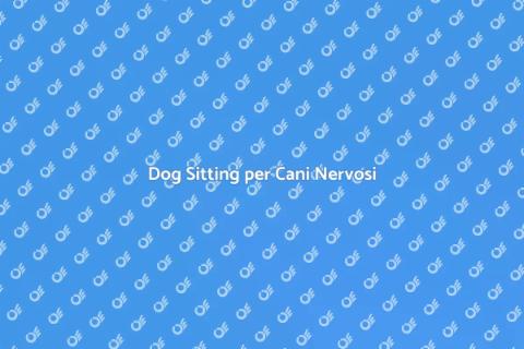 Dog Sitting per Cani Timidi