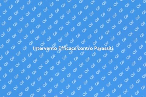Eliminazione Parassiti delle Palme