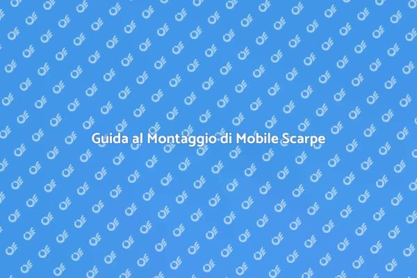 Come Smontare un Mobile per Scarpe