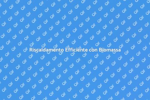 Caldaia a Biomassa e Accumulatori