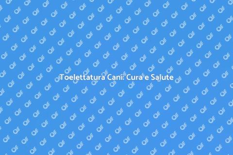 Toelettatura Cani: Benessere e Stile