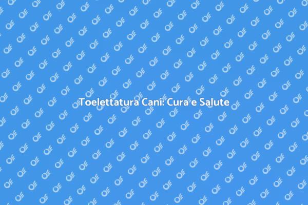 Toelettatura: Il Segreto per Cani Felici