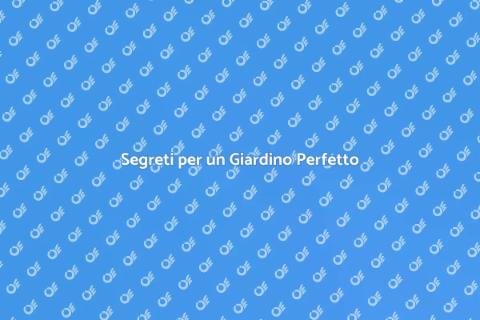 Manutenzione Giardino: Arte e Bellezza