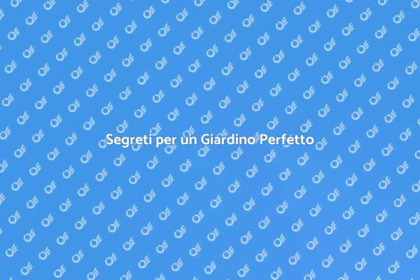 Manutenzione Giardino: Guida Pratica