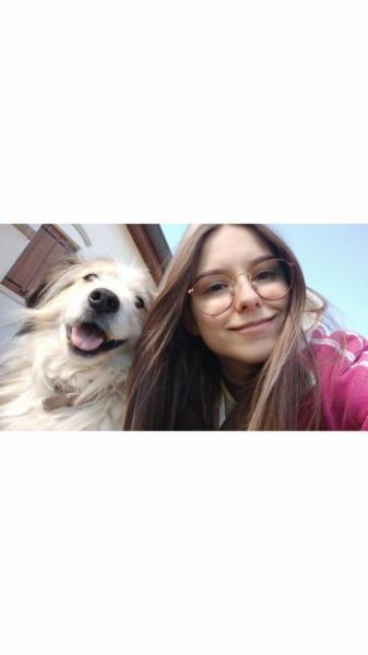 Tanto verde, amore e gioco - Foto 1