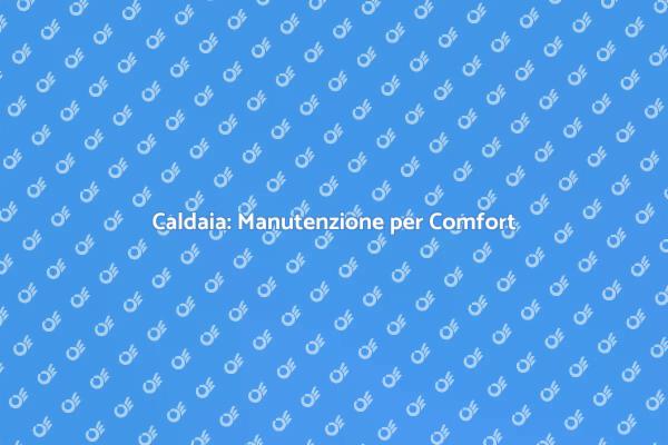 Caldaia: Garantire Comfort e Sicurezza